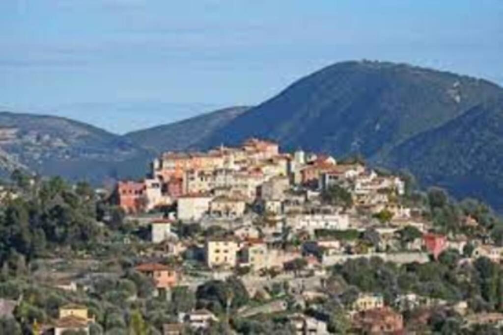 Falicon Appartement 3 Pieces Dans Villa Individuelle מראה חיצוני תמונה